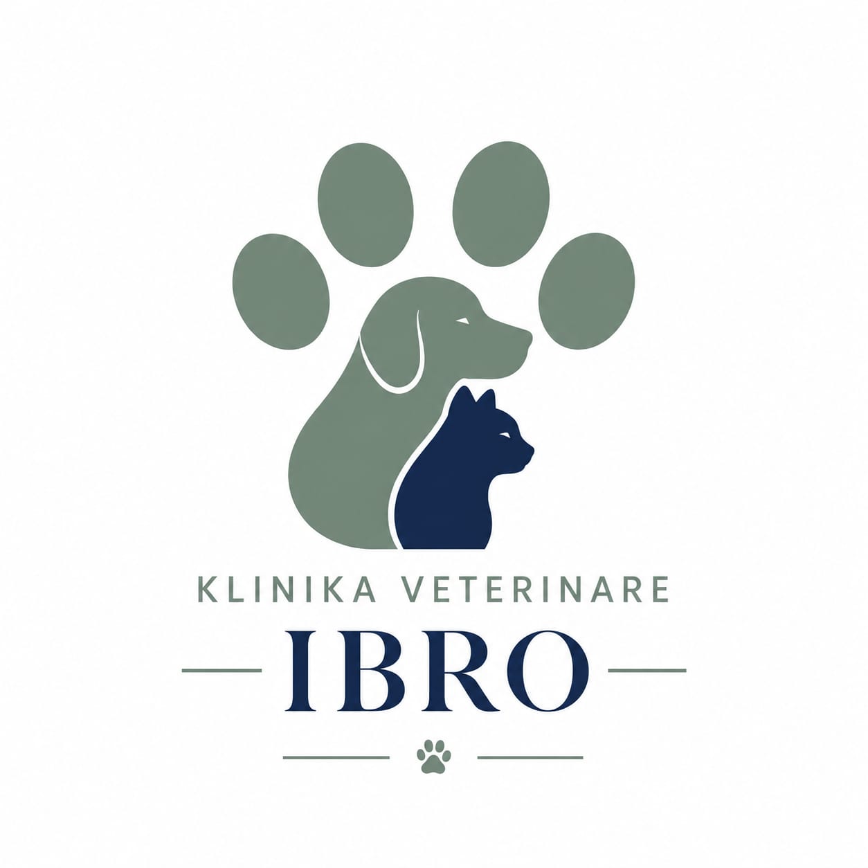 Klinika Veterinare Ibro — logo